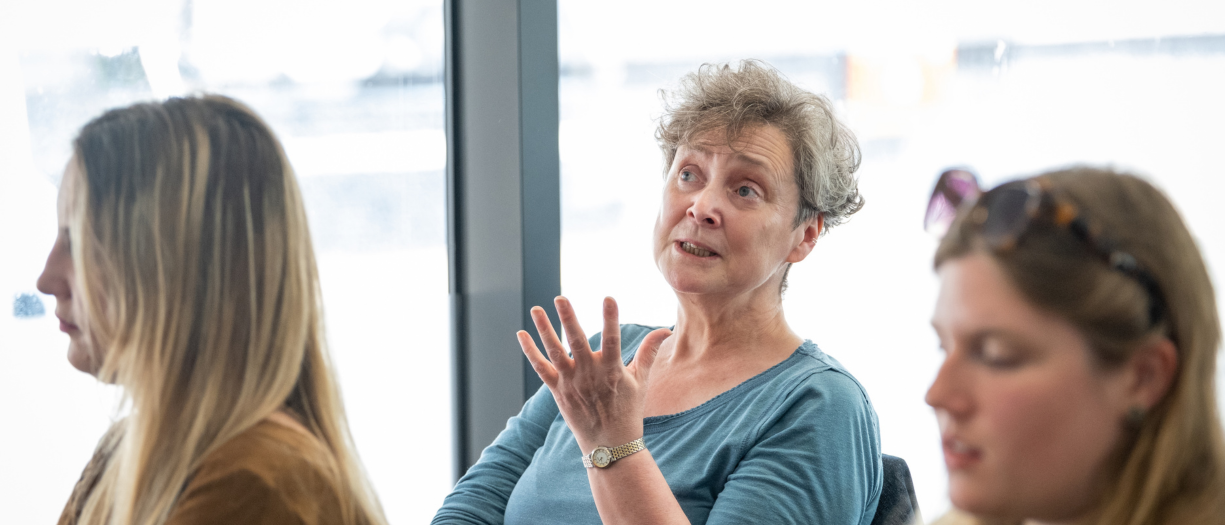 A researcher speaking in a workshop