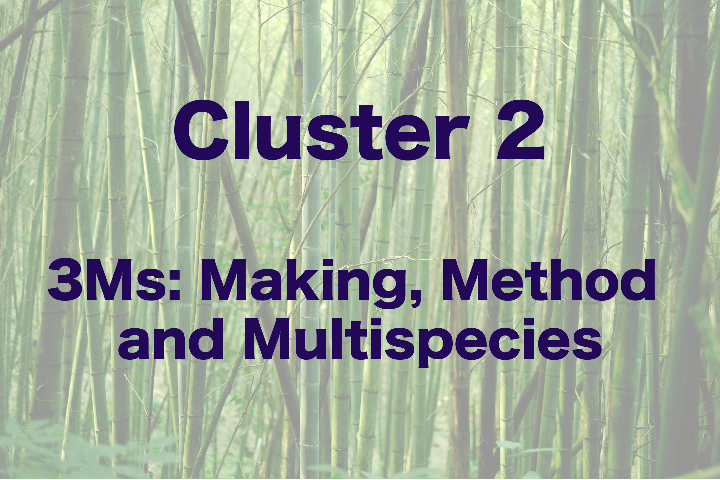 bamboo background, text: cluster 2, 3Ms: making method & multispecies